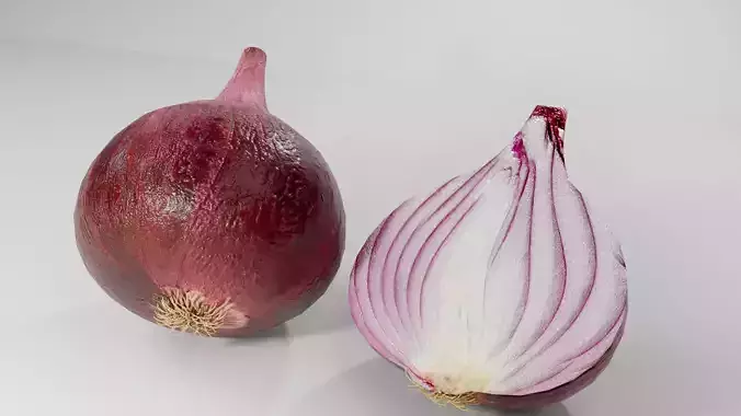 Photorealistic Red Onion 3D Model Cut Vegetable Food Asset Low-poly 3D model 7