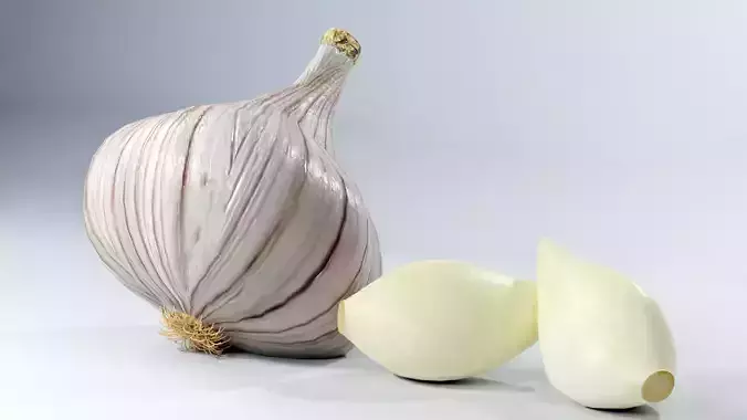 Realistic Garlic 3D Model Fresh Vegetable PBR Food Asset Pack Low-poly 3D model 3