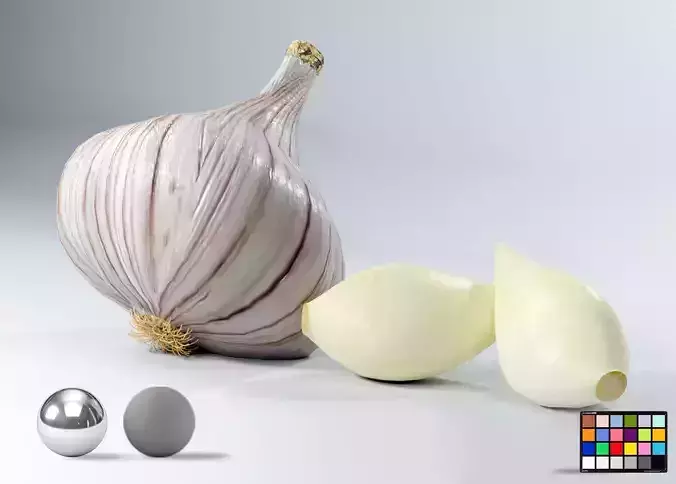 Realistic Garlic 3D Model Fresh Vegetable PBR Food Asset Pack Low-poly 3D model