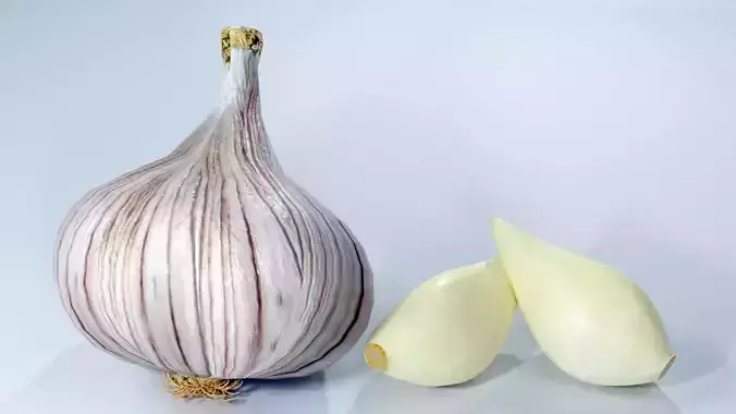 Realistic Garlic 3D Model Fresh Vegetable PBR Food Asset Pack Low-poly 3D model 6