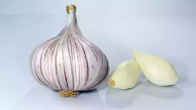 Realistic Garlic 3D Model Fresh Vegetable PBR Food Asset Pack Low-poly 3D model 5