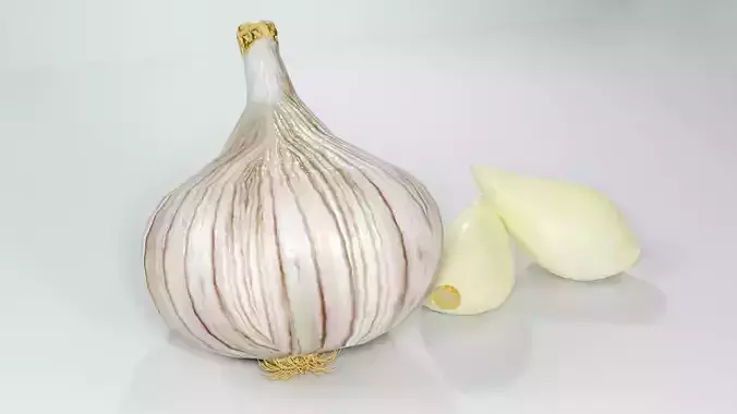 Realistic Garlic 3D Model Fresh Vegetable PBR Food Asset Pack Low-poly 3D model 2