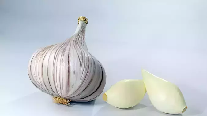 Realistic Garlic 3D Model Fresh Vegetable PBR Food Asset Pack Low-poly 3D model 4