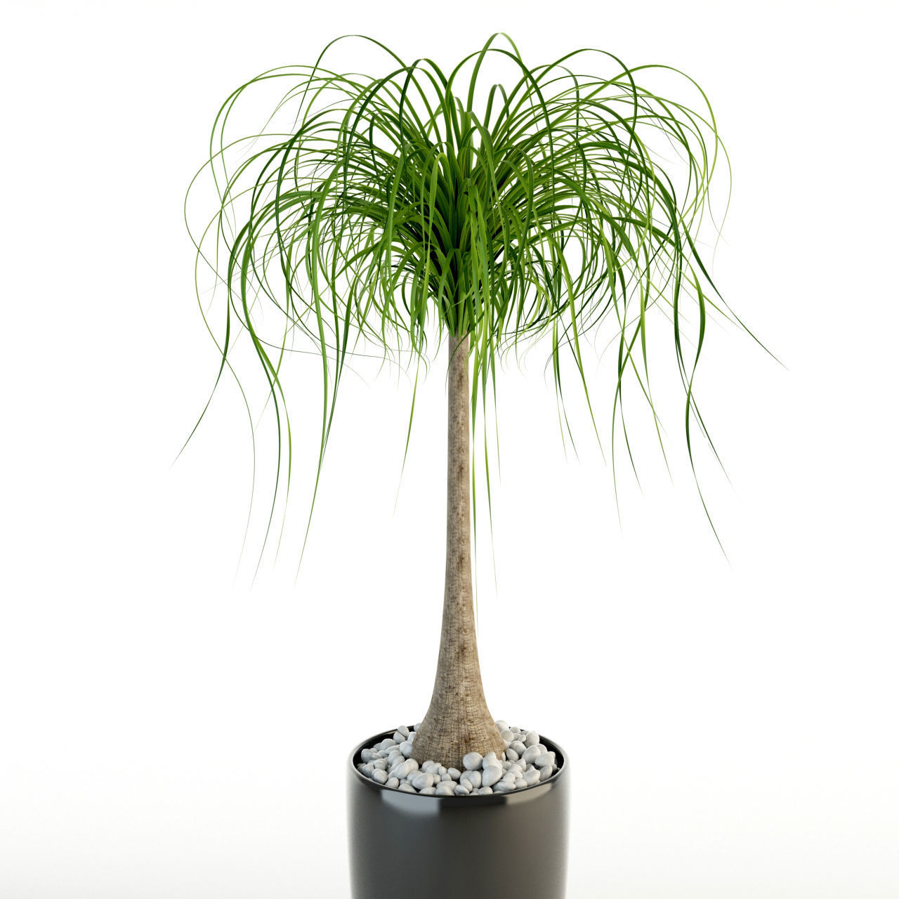 Plants collection 21 Lechuza Rondo 3D model_5