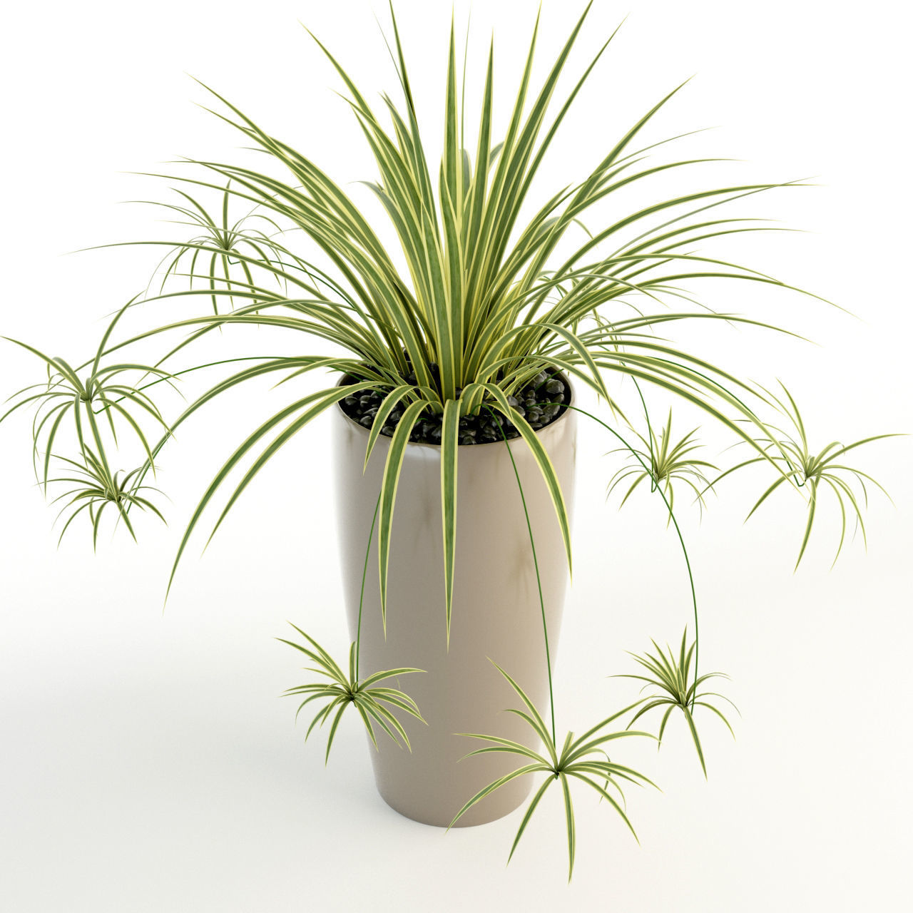 Plants collection 21 Lechuza Rondo 3D model_6