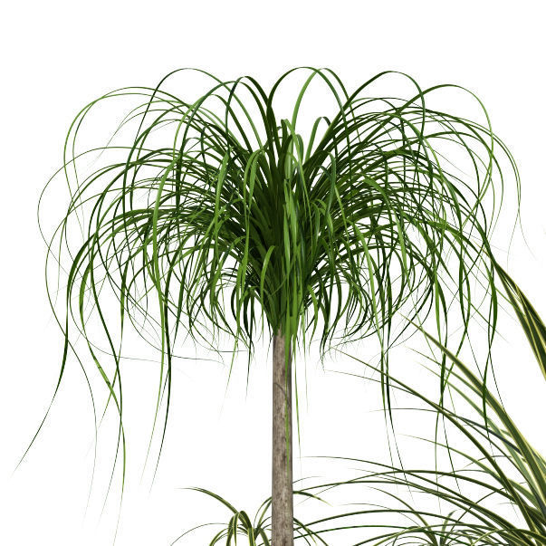 Plants collection 21 Lechuza Rondo 3D model_2