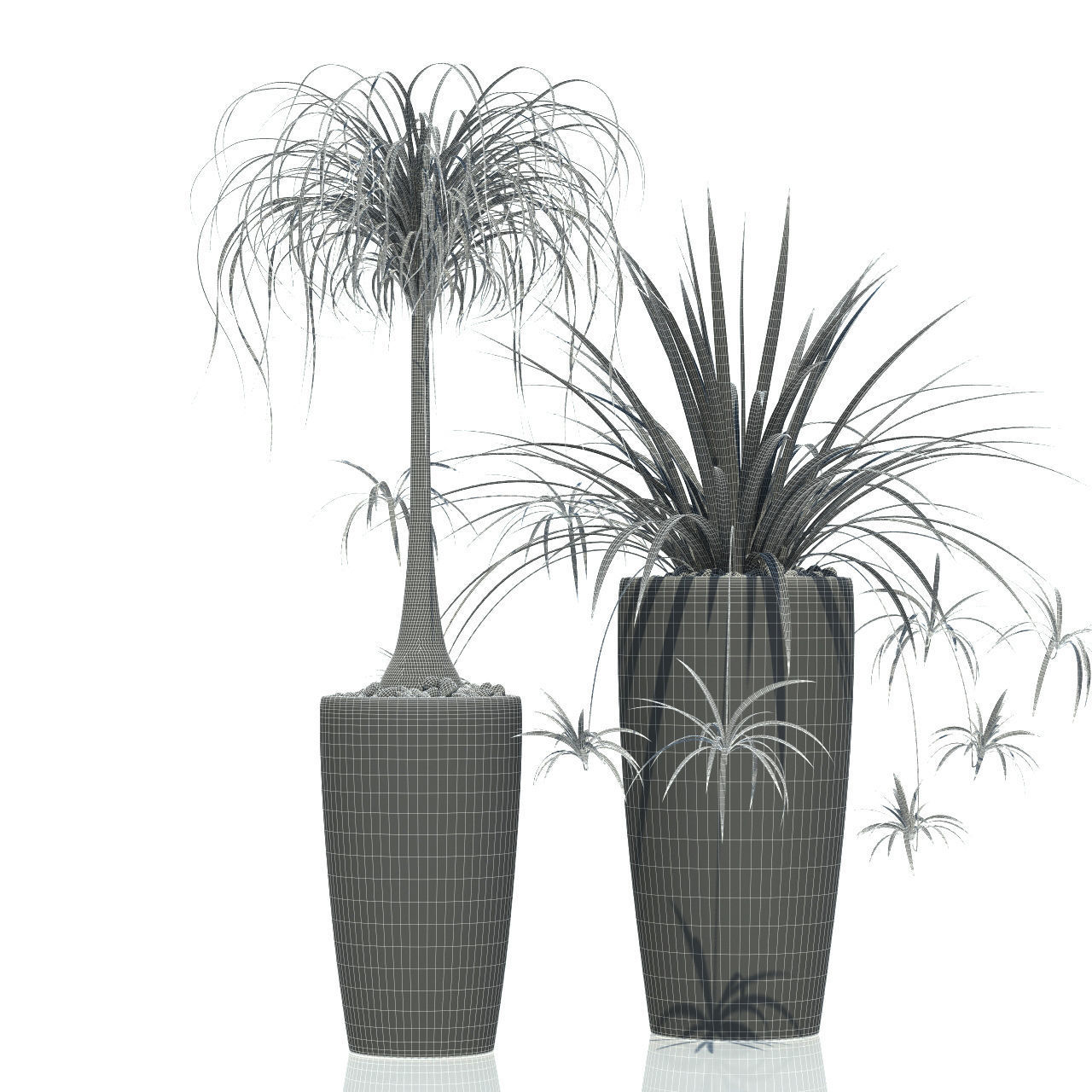 Plants collection 21 Lechuza Rondo 3D model_1
