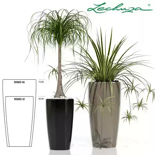 Plants collection 21 Lechuza Rondo 3D model