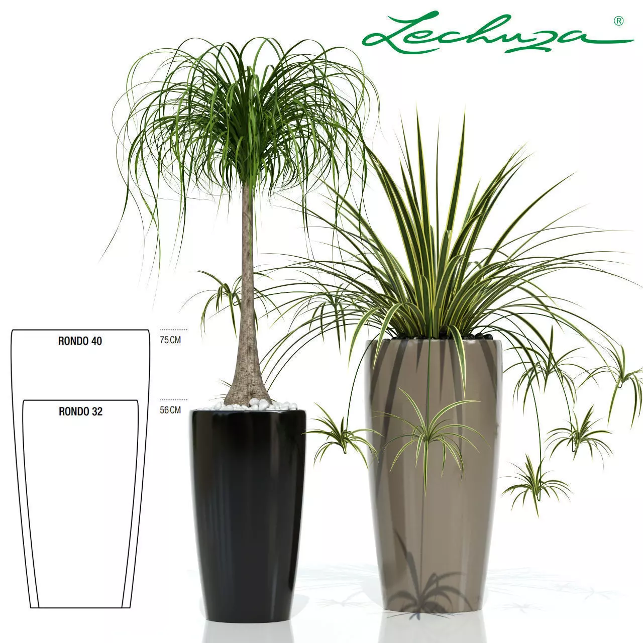 Plants collection 21 Lechuza Rondo 3D model_0