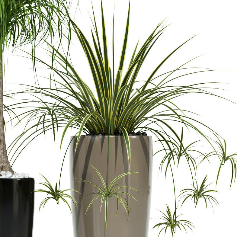 Plants collection 21 Lechuza Rondo 3D model_4