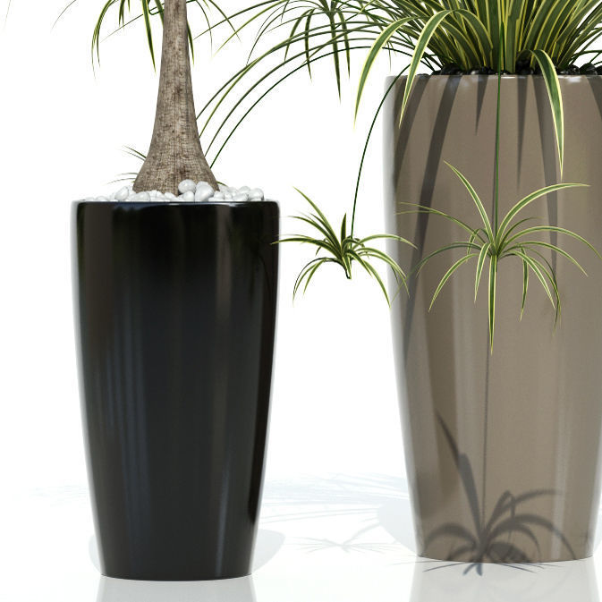 Plants collection 21 Lechuza Rondo 3D model_3