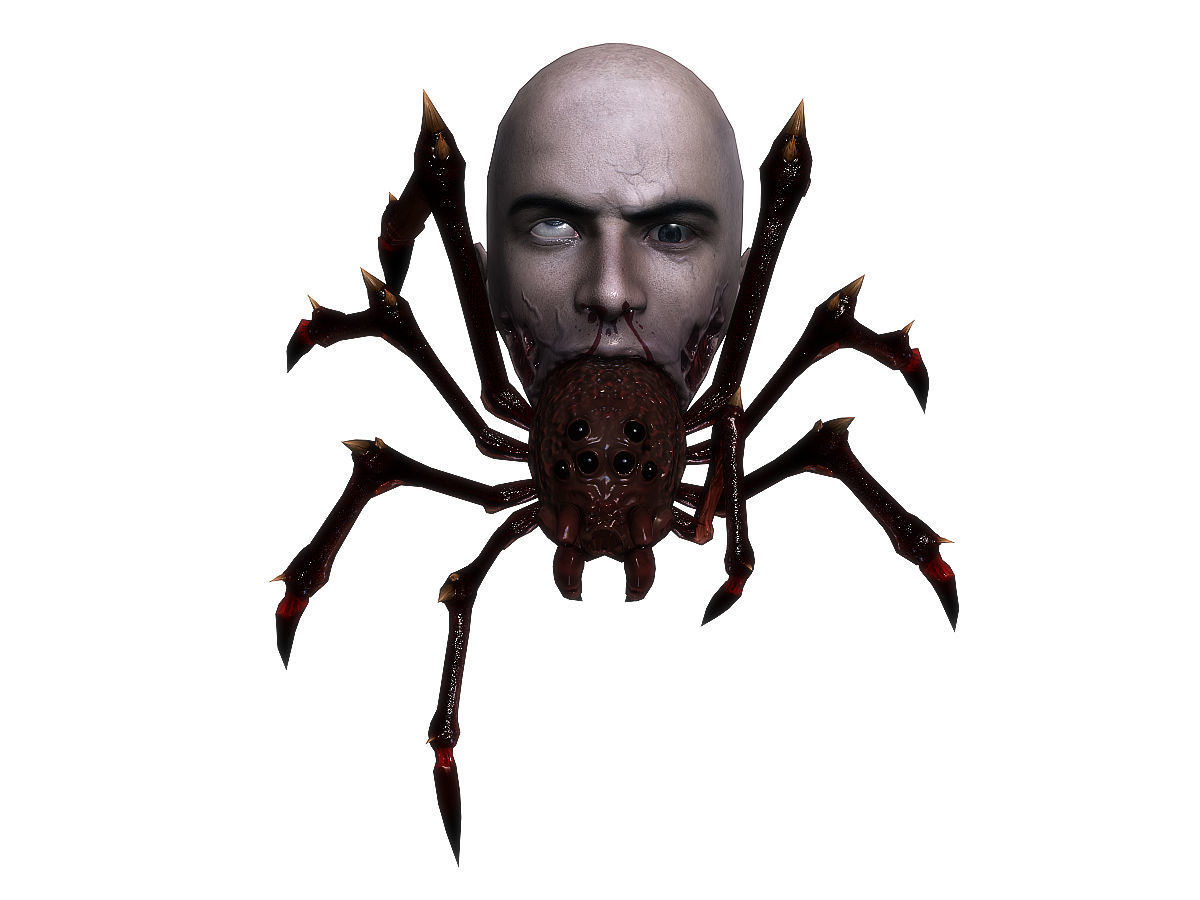 3Dfoin - Terror Spider Low-poly 3D model_5