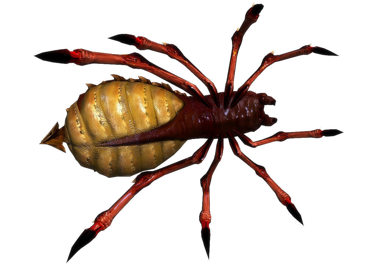 3Dfoin - Terror Spider Low-poly 3D model_16