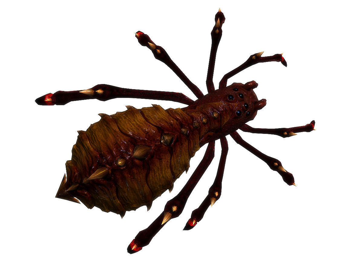3Dfoin - Terror Spider Low-poly 3D model_17