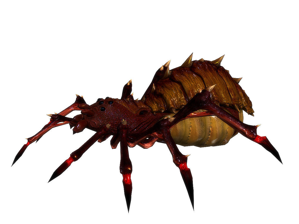 3Dfoin - Terror Spider Low-poly 3D model_13