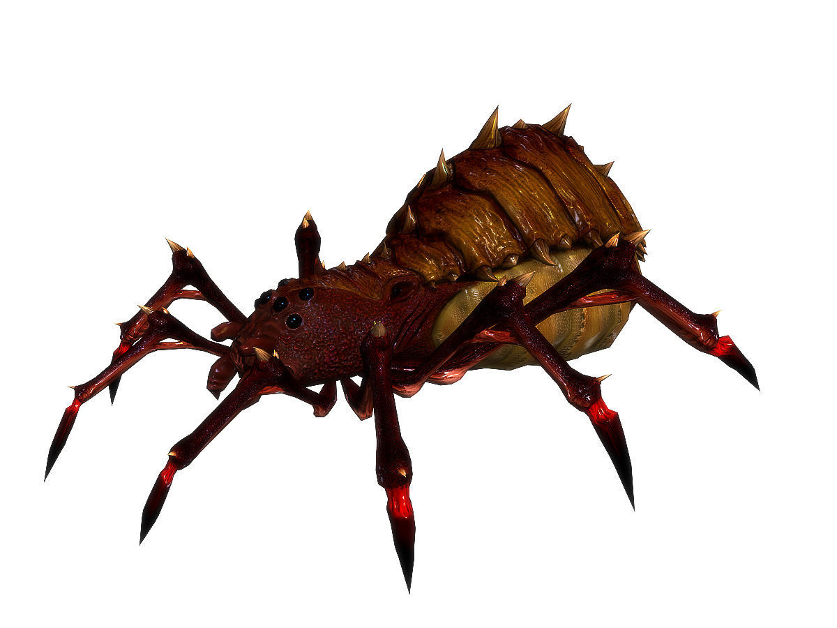 3Dfoin - Terror Spider Low-poly 3D model_12