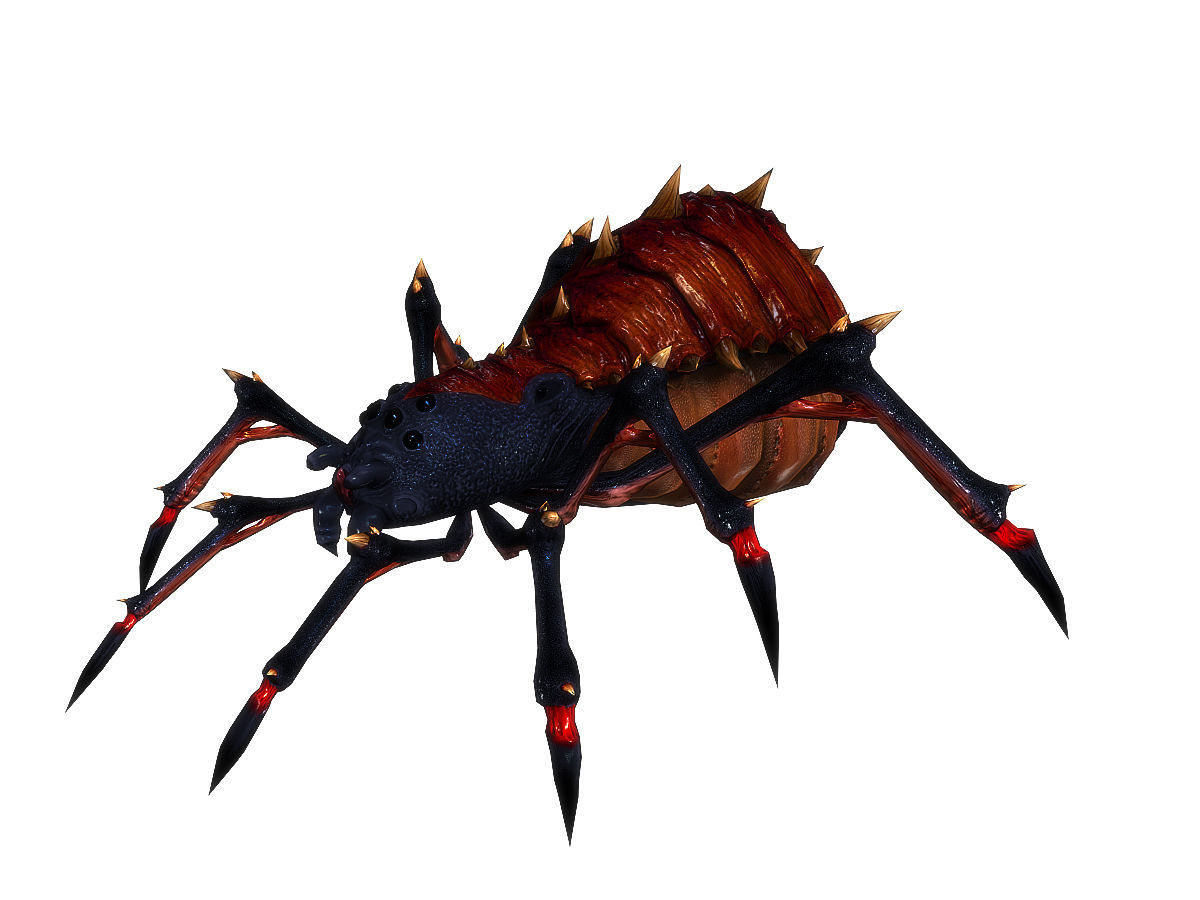 3Dfoin - Terror Spider Low-poly 3D model_18