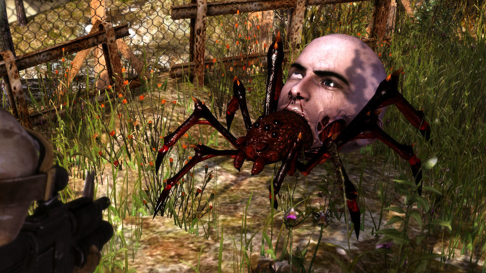 3Dfoin - Terror Spider Low-poly 3D model_20