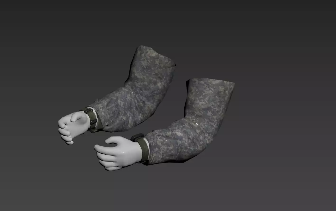 FPS ARMS 3D model