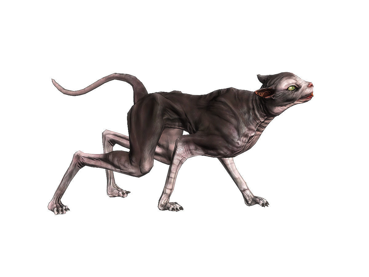 3Dfoin - Devil Cat Low-poly 3D model_9