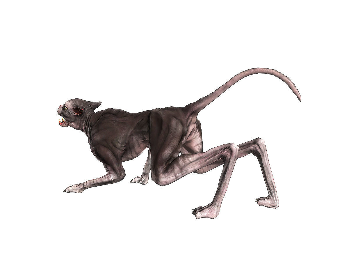 3Dfoin - Devil Cat Low-poly 3D model_4