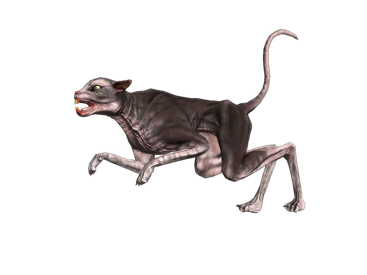 3Dfoin - Devil Cat Low-poly 3D model_8