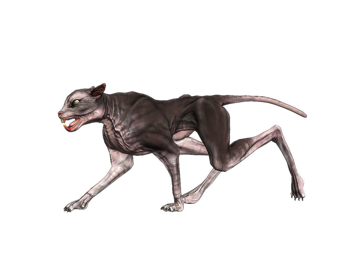 3Dfoin - Devil Cat Low-poly 3D model_5