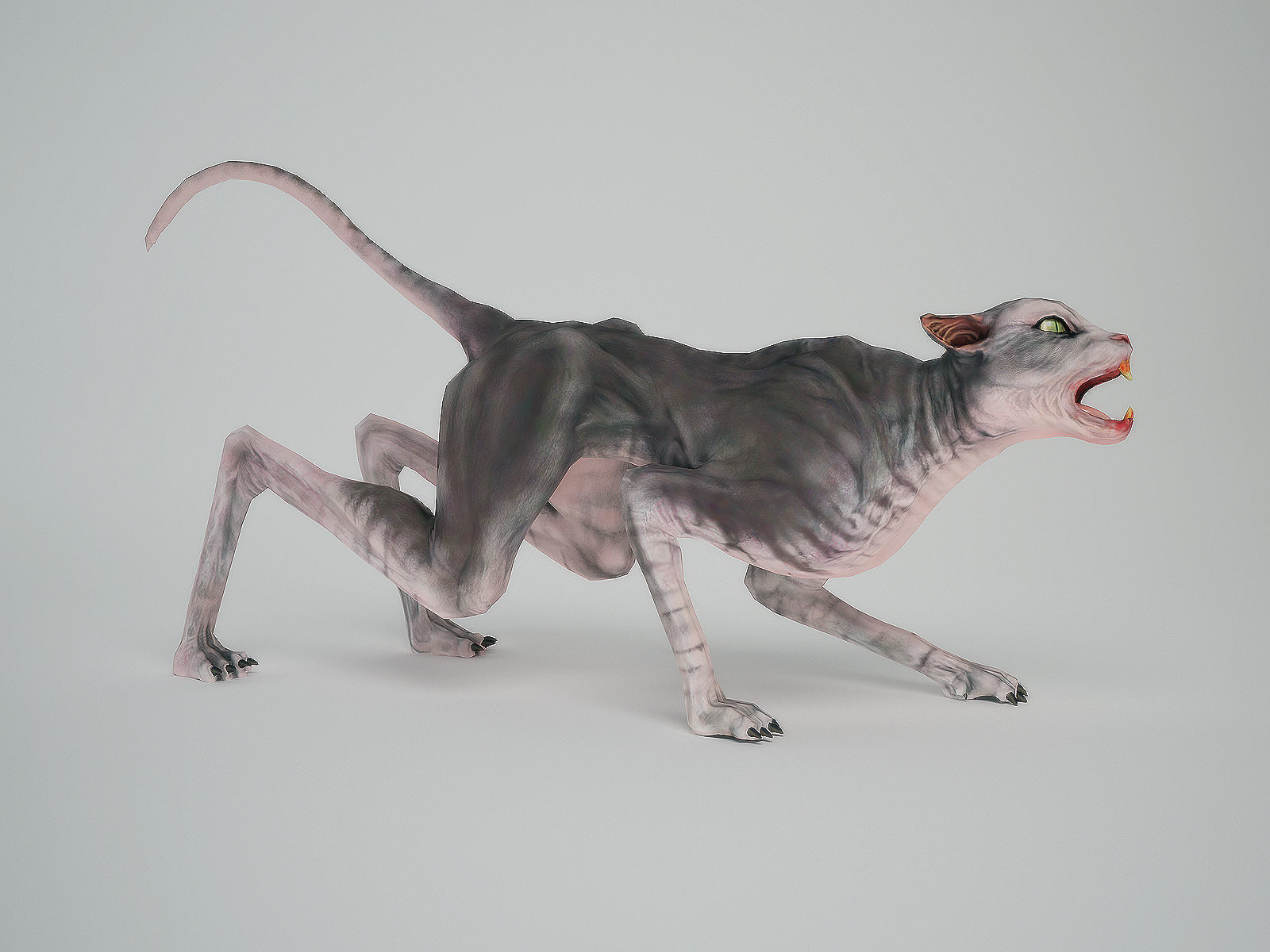 3Dfoin - Devil Cat Low-poly 3D model_10