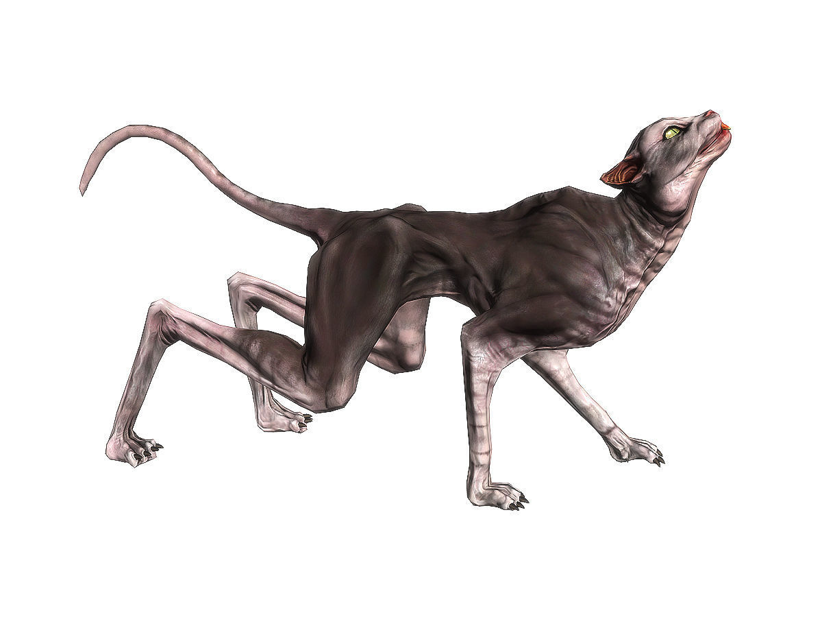 3Dfoin - Devil Cat Low-poly 3D model_7