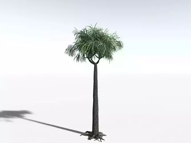 EVERYPlant Lepidodendron Obovatum LowPoly
