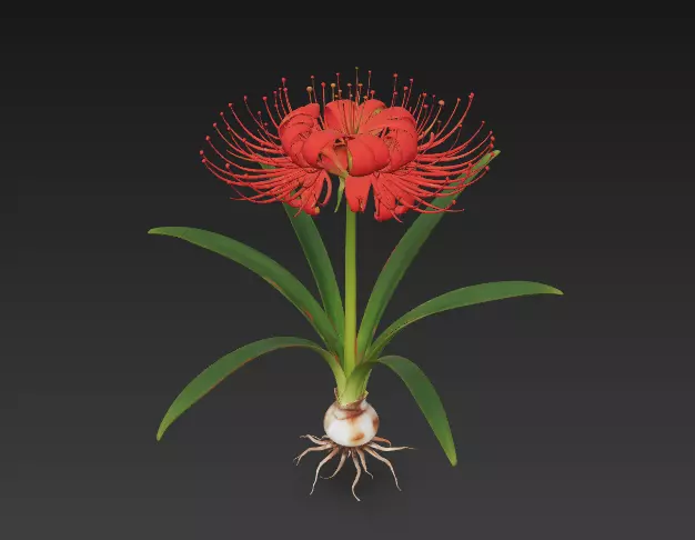 Identification of Chinese Herbal Medicine Red Datura 18 3D model