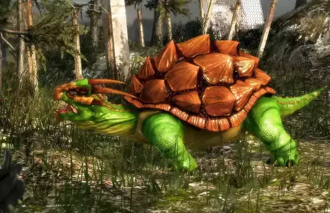 3Dfoin - Dragon Turtle