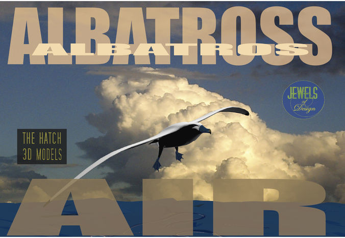 Albatross seagull Low-poly 3D model