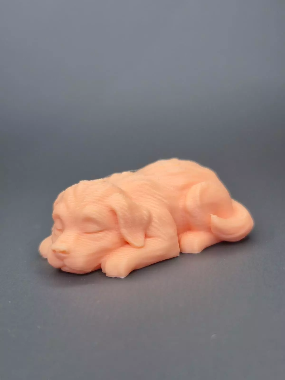 Sleeping Puppy Free 3D print model