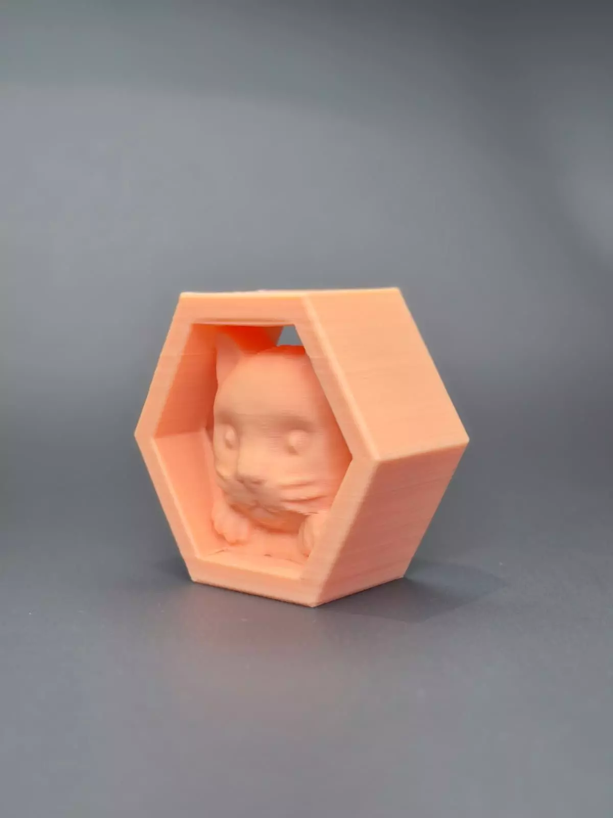 Balance Cat Toy - Hexagonal Stylized Cat Figurine Free 3D print model