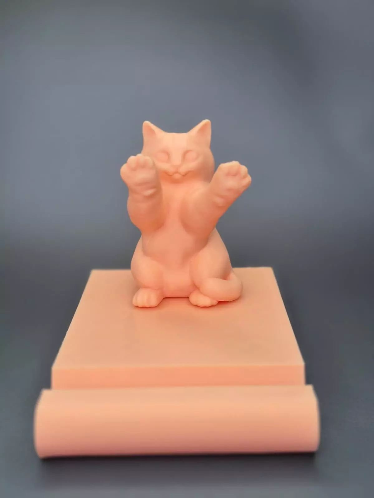 Cat Paws Phone Holder 3D print model