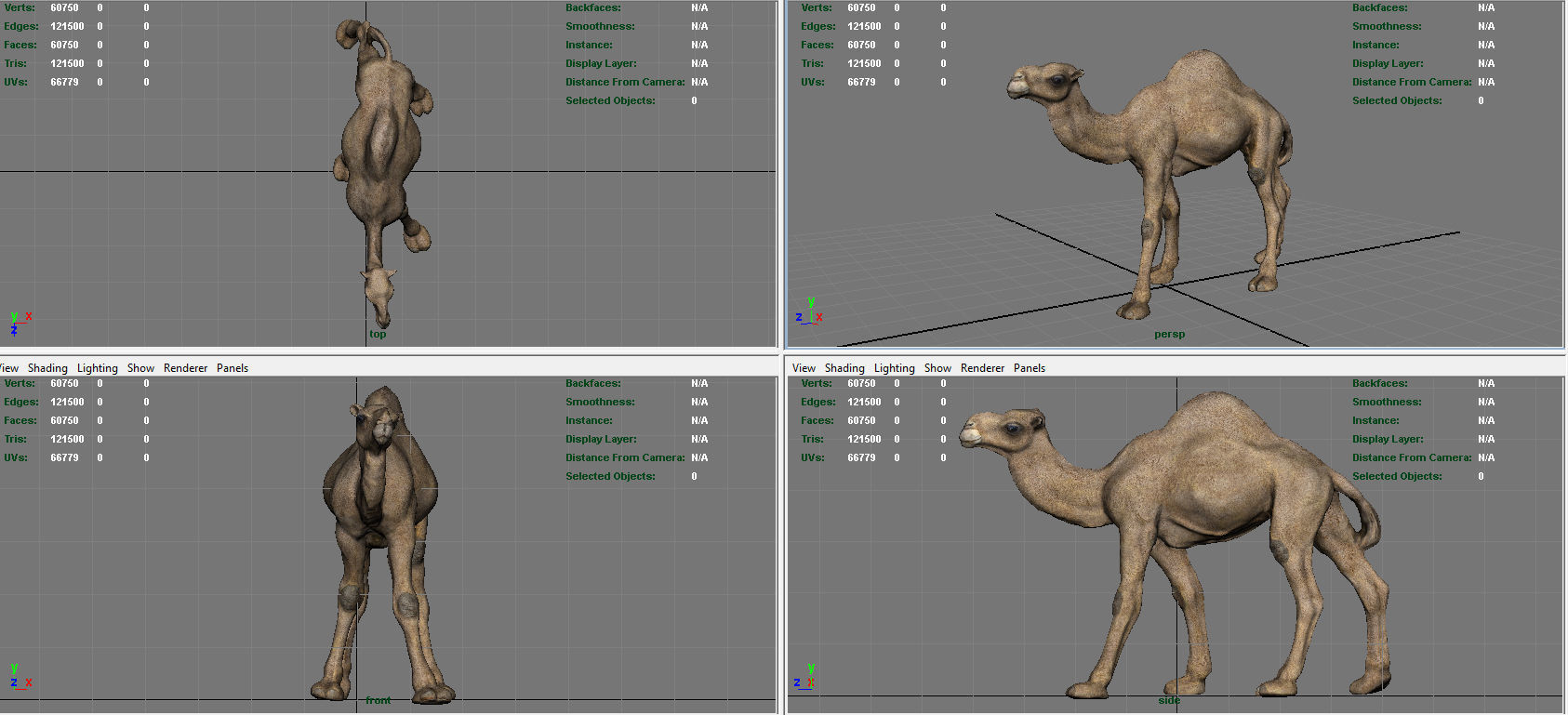 Camel Low-poly 3D model_10