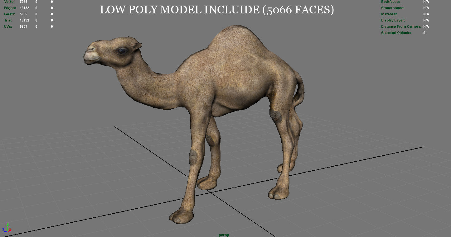 Camel Low-poly 3D model_15