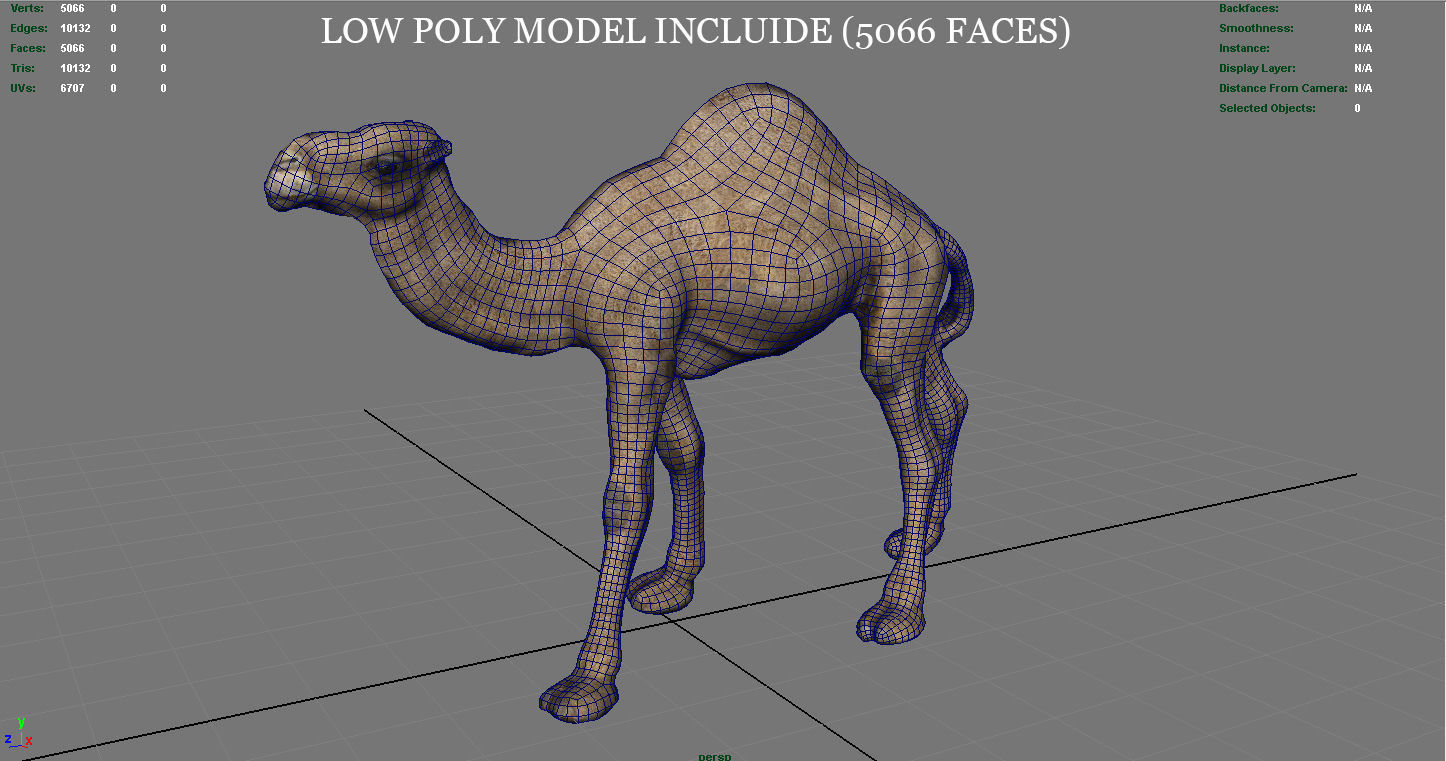 Camel Low-poly 3D model_16