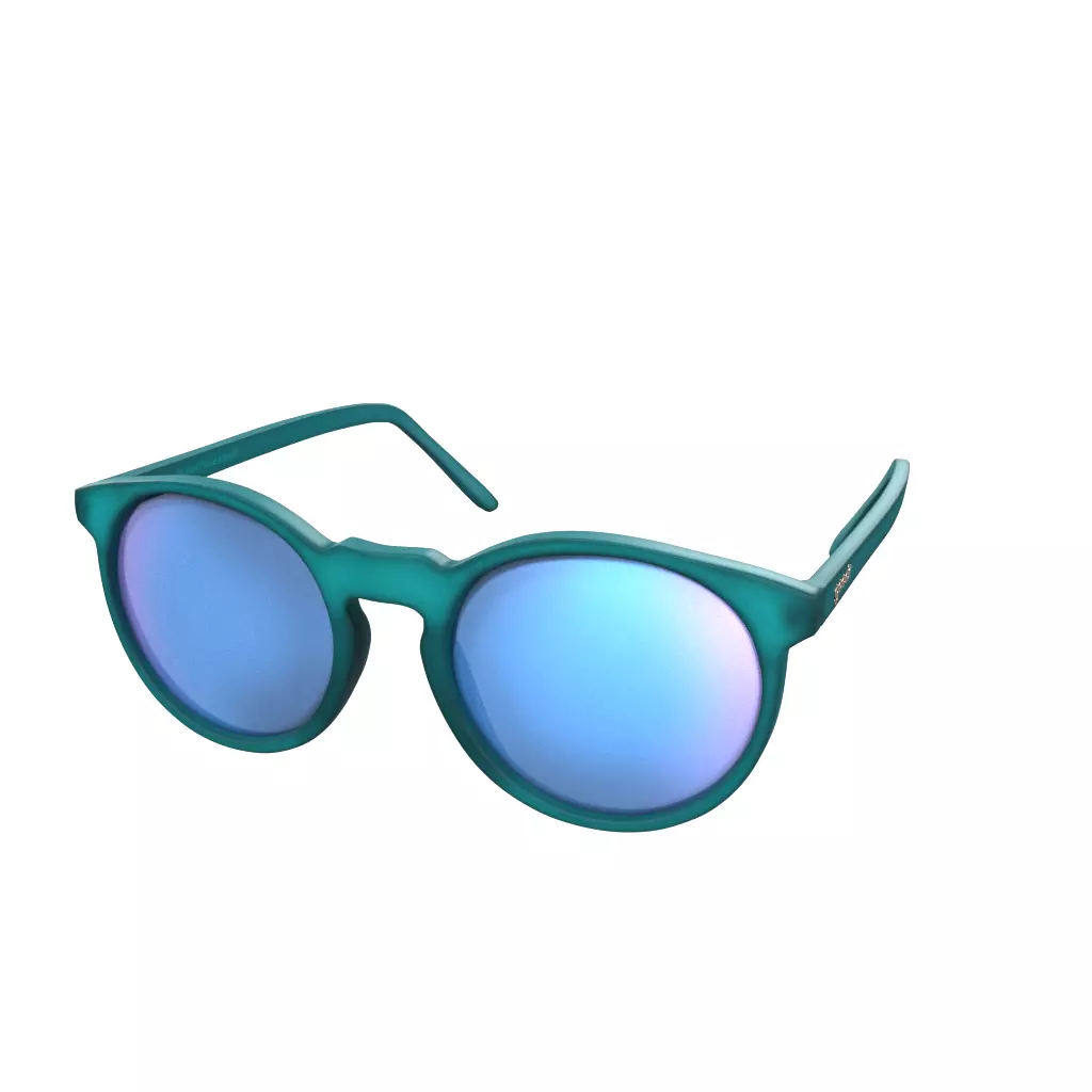 Goodr Circle GS I Pickled These Myself Low-poly 3D model