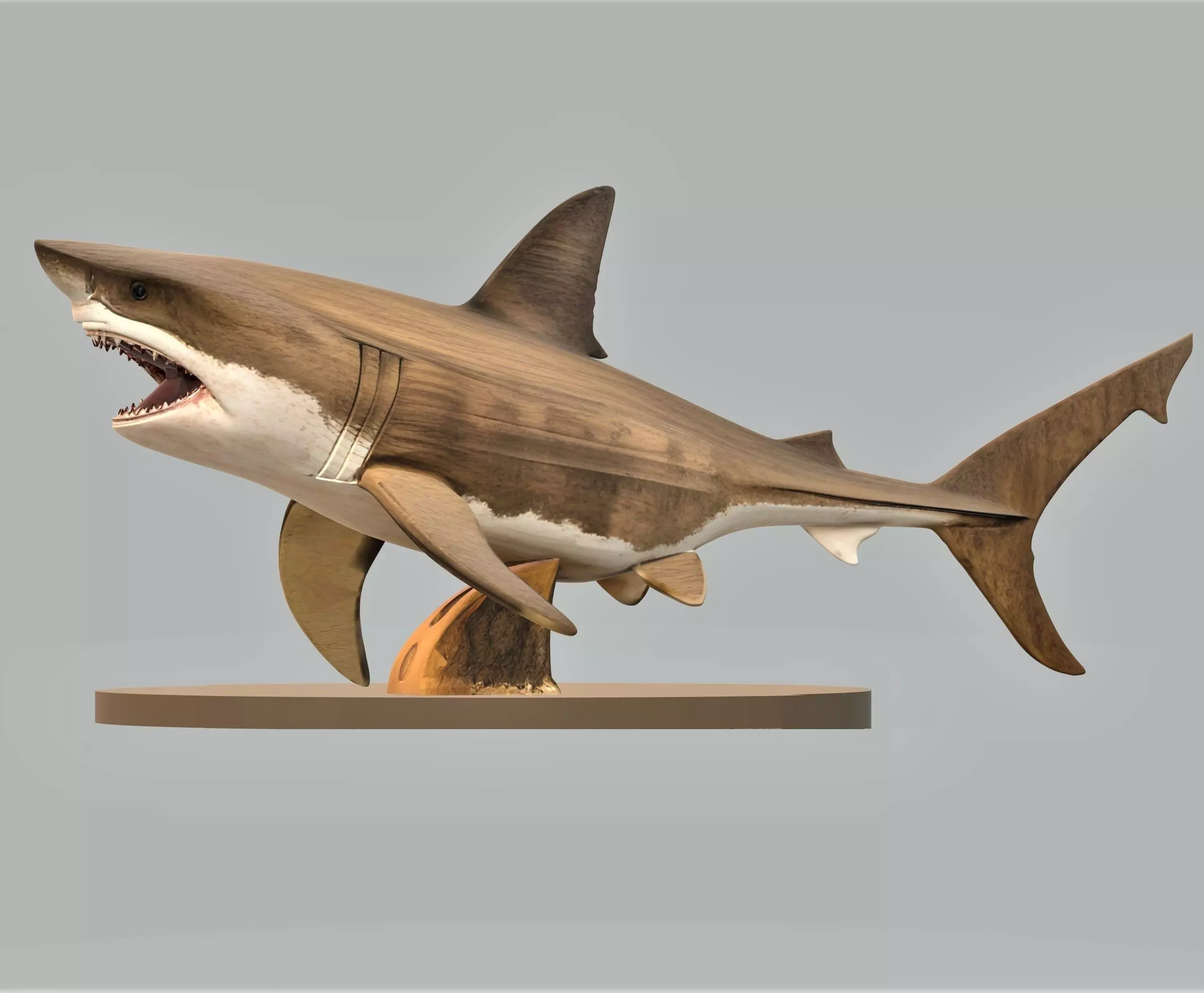 shark 3D print model