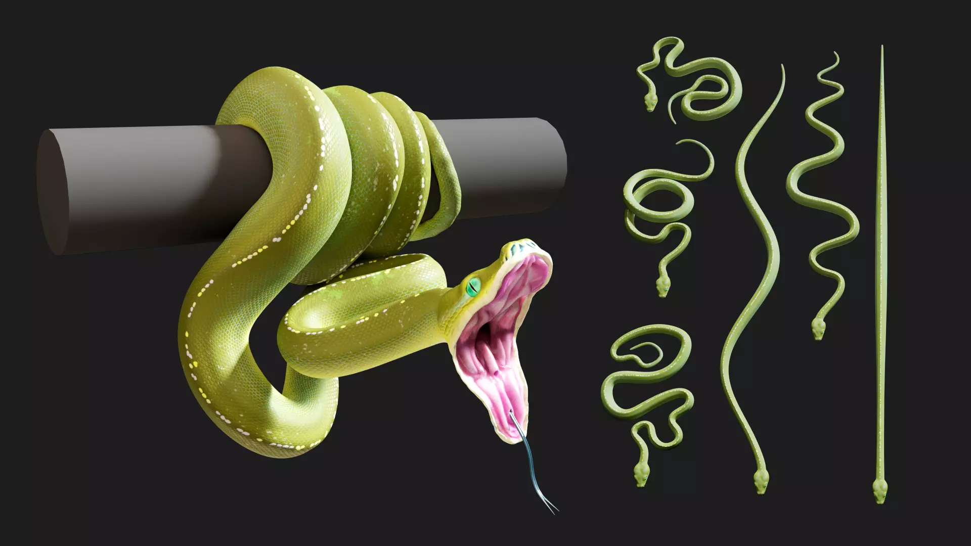 Python Collection Low-poly 3D model