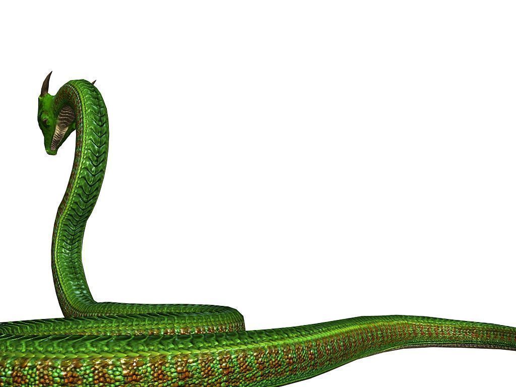 3Dfoin - Fantasy Snake Low-poly 3D model_10