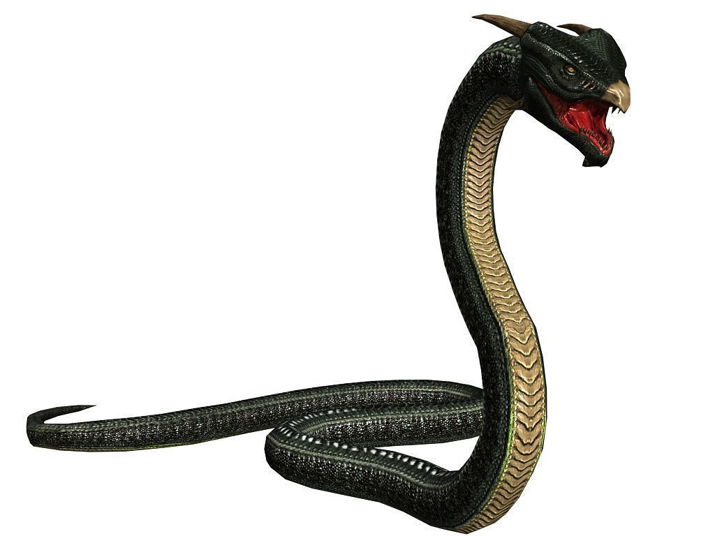 3Dfoin - Fantasy Snake Low-poly 3D model_5