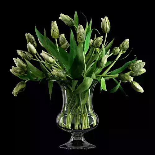 Green Parrot Tulips 3D model