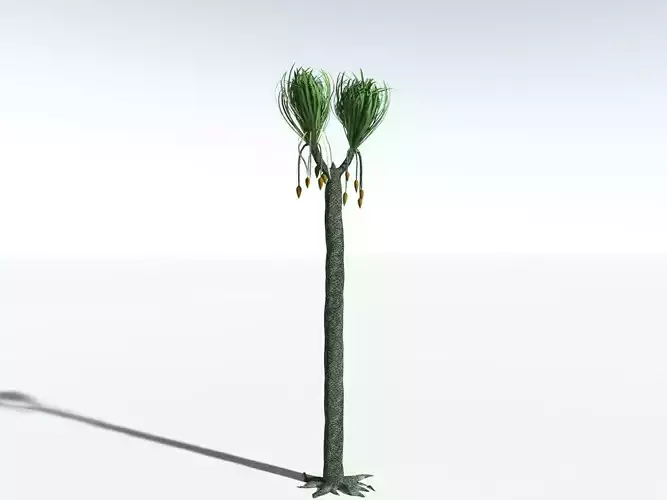 EVERYPlant Sigillaria Ovata LowPoly