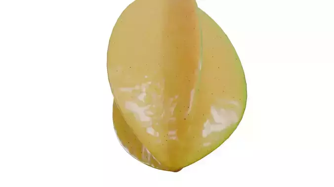 Carambola and Star Fruit PBR Low-poly 3D model 4