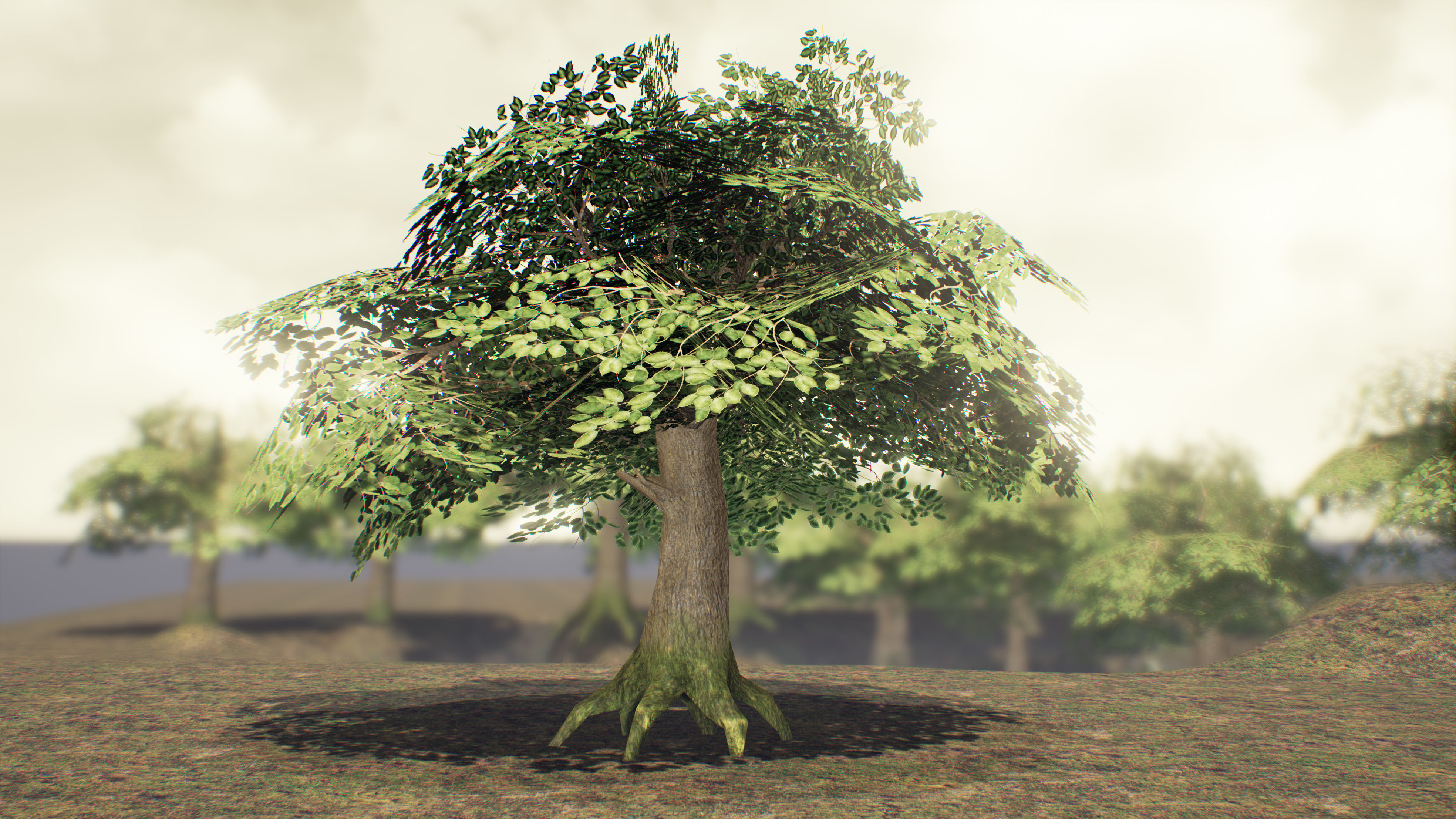 Low Poly Sycamore Tree Low-poly 3D model_4