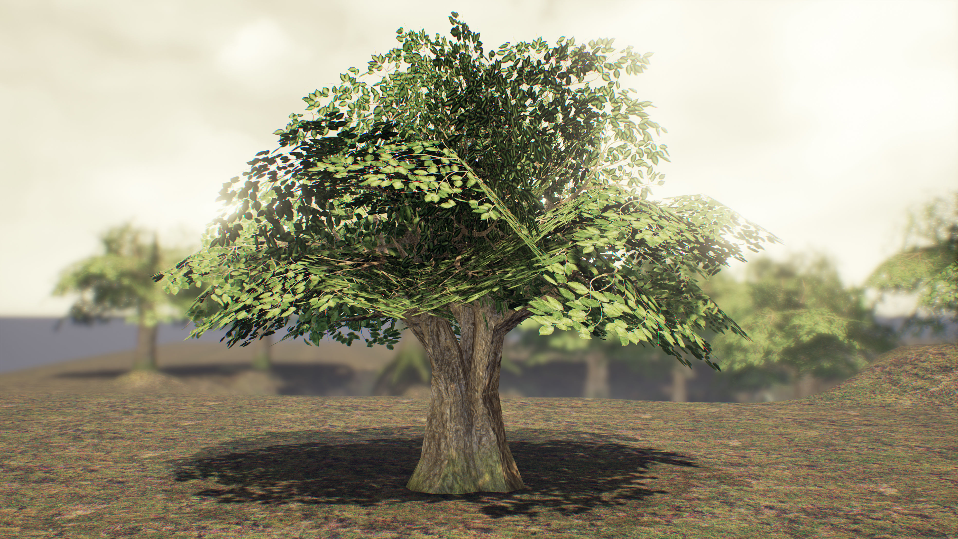 Low Poly Sycamore Tree Low-poly 3D model_6