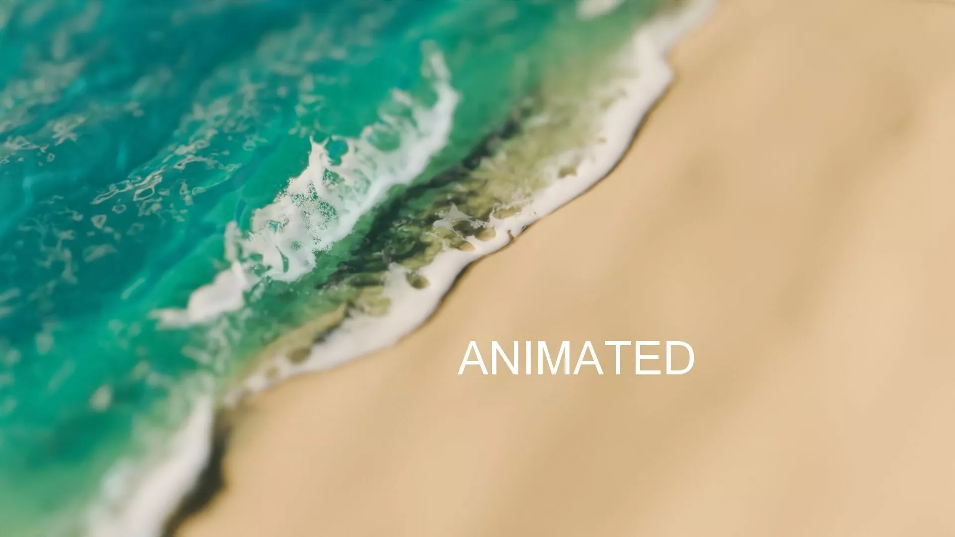 Animated Beach Waves Simulation with Whitewater Foam 3D model